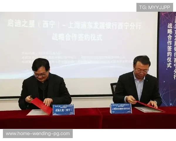 阿斯顿维拉俱乐部发展历程与未来战略全面解析