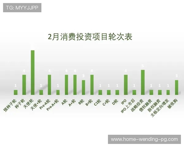 莱切俱乐部身价揭秘全球视野下的潜力与投资价值分析